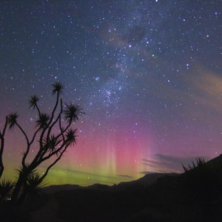 Hereweka Garden Retreat Dunedin Dış mekan fotoğraf