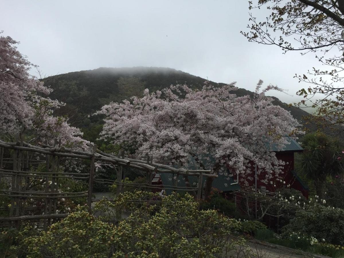 Hereweka Garden Retreat Dunedin Dış mekan fotoğraf