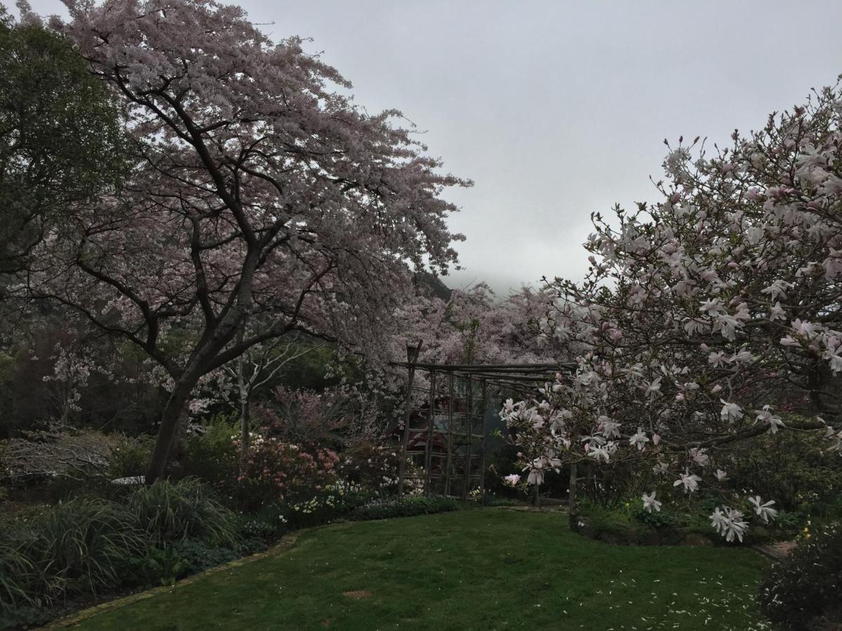 Hereweka Garden Retreat Dunedin Dış mekan fotoğraf