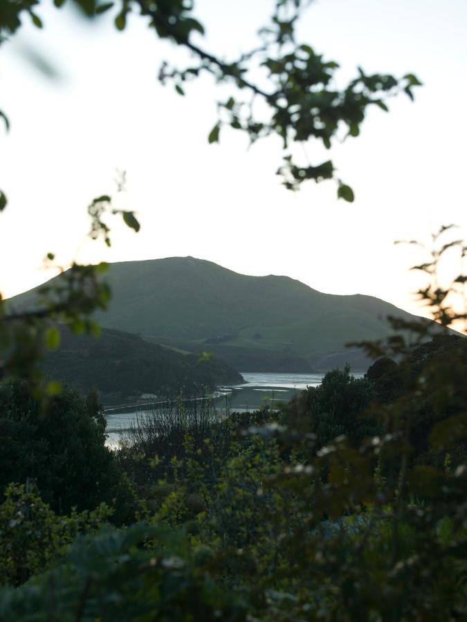 Hereweka Garden Retreat Dunedin Dış mekan fotoğraf