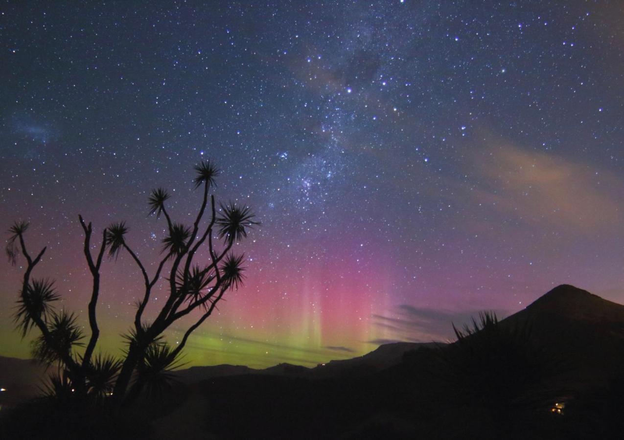 Hereweka Garden Retreat Dunedin Dış mekan fotoğraf