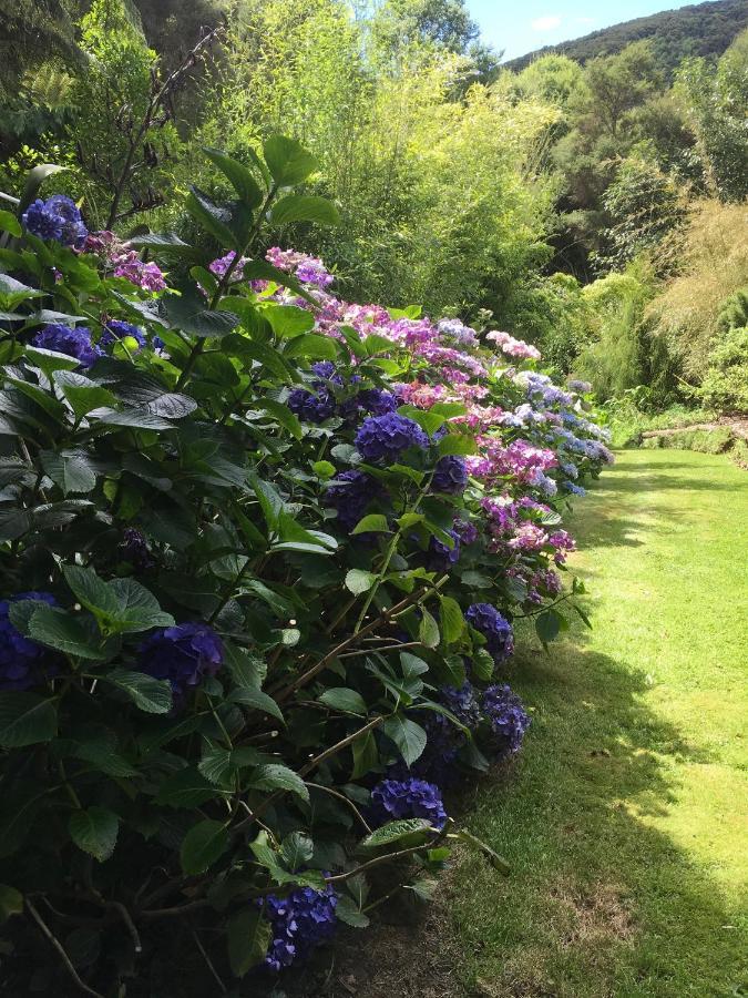 Hereweka Garden Retreat Dunedin Dış mekan fotoğraf