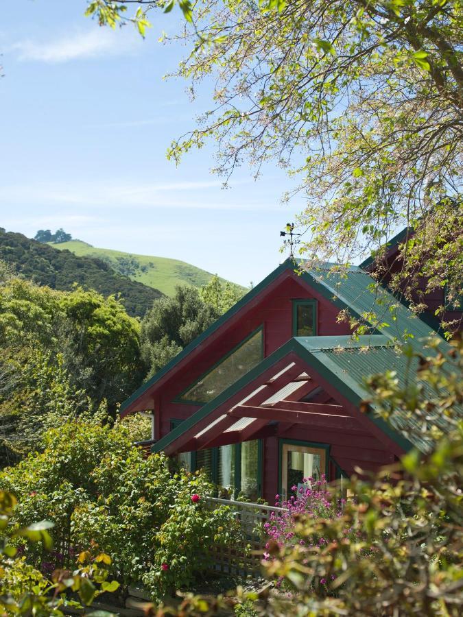 Hereweka Garden Retreat Dunedin Dış mekan fotoğraf