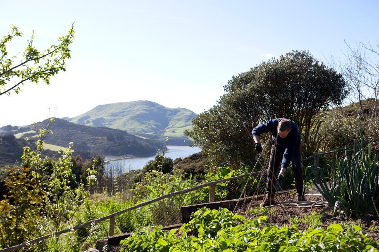 Hereweka Garden Retreat Dunedin Dış mekan fotoğraf